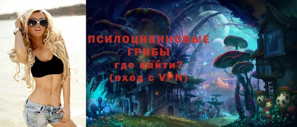 метадон Арсеньев